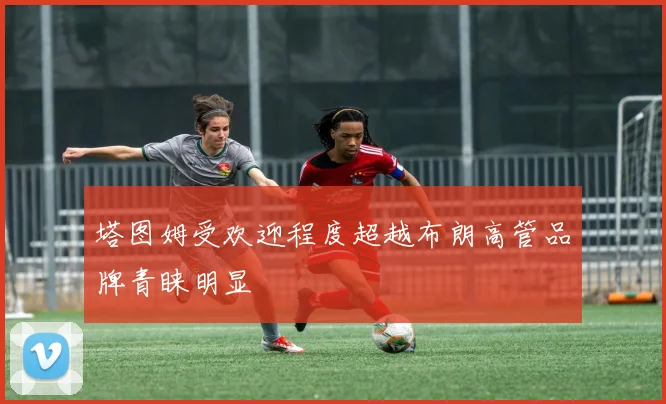 塔图姆受欢迎程度超越布朗高管品牌青睐明显