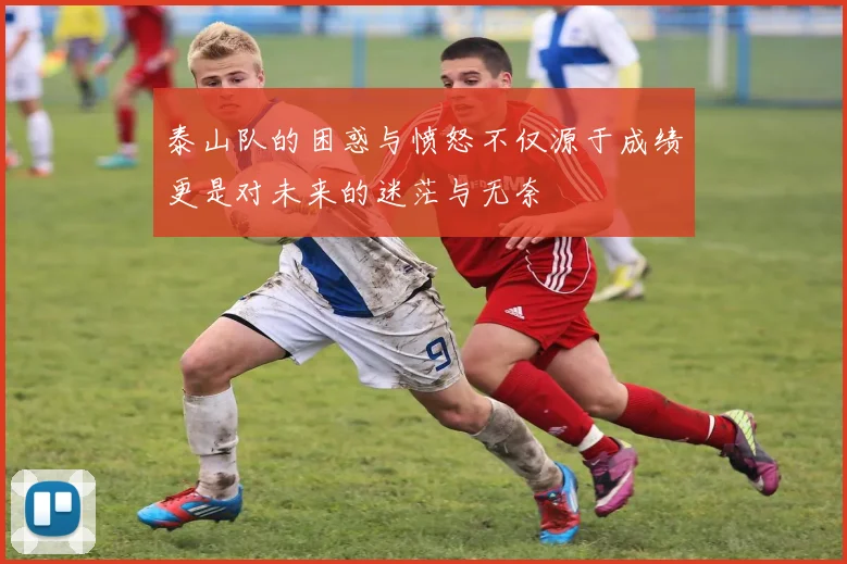 泰山队的困惑与愤怒不仅源于成绩更是对未来的迷茫与无奈