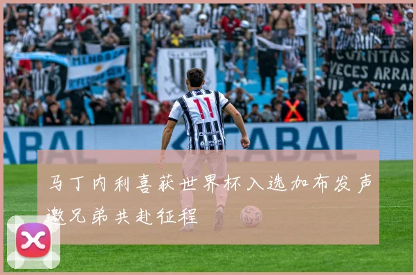马丁内利喜获世界杯入选加布发声邀兄弟共赴征程